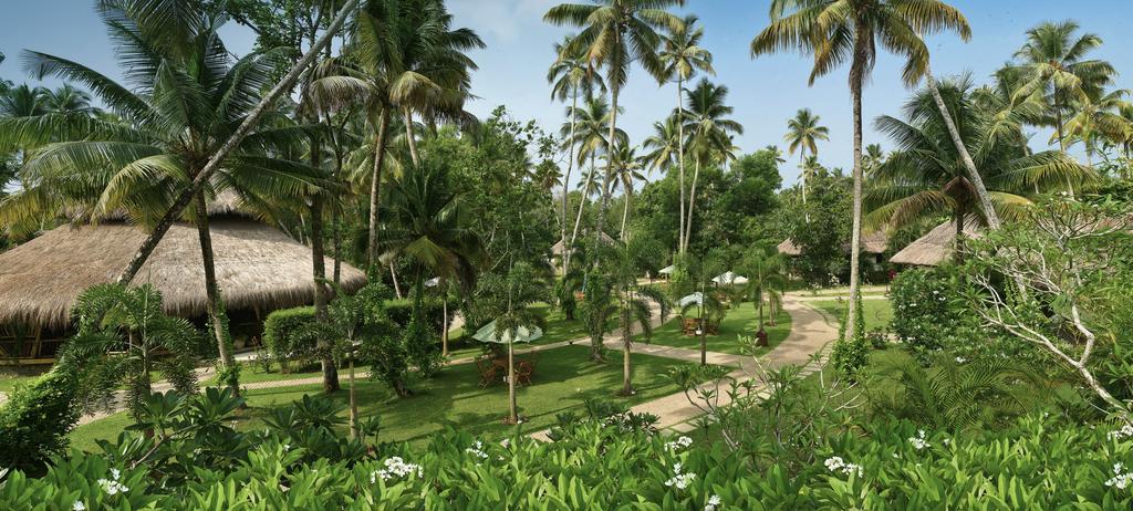 Carnoustie Ayurveda & Wellness Resort Alappuzha Exteriér fotografie